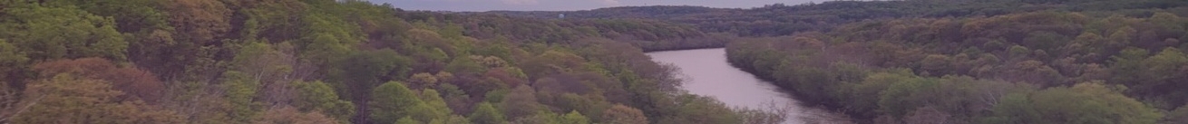 purple-tinted picture of a river with trees on the sides